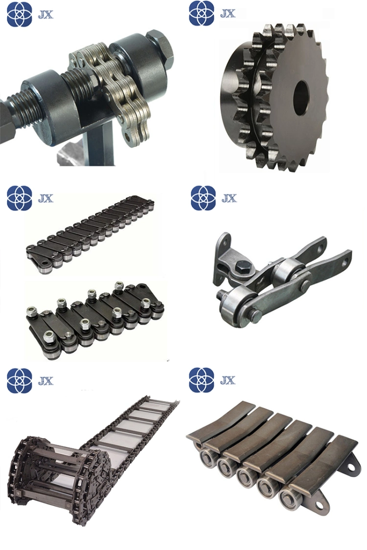 a/B Series Carbon Steel/Stainless Steel Roller Chain and Other Special Conveyor Chain