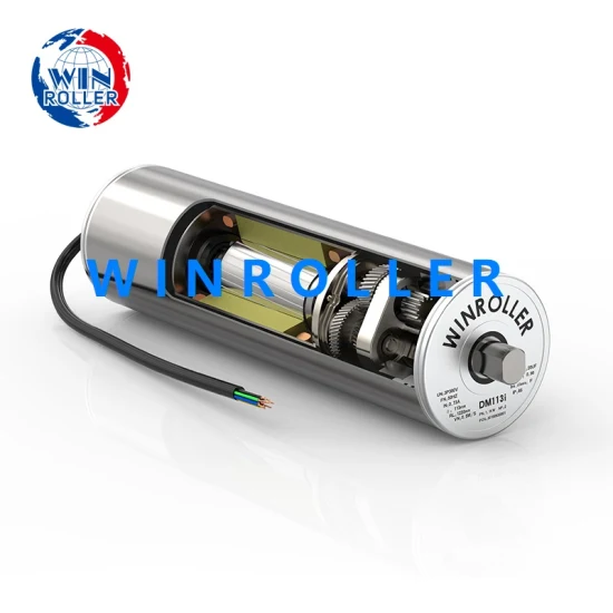 Winroller eingebauter AC-Motor Dm113/138/165/216 Förderbandrolle für Gepäckbandförderer
