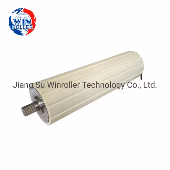 Winroller eingebauter AC-Motor Dm113/138/165/216 Förderbandrolle für Gepäckbandförderer